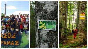 Virgin Forest Trail 2017, ένα μεγάλο αφιέρωμα