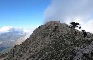 Artemisio Mountain Running, ένας skyrunning προσομοιωτής - Τα αποτελέσματα των αγώνων