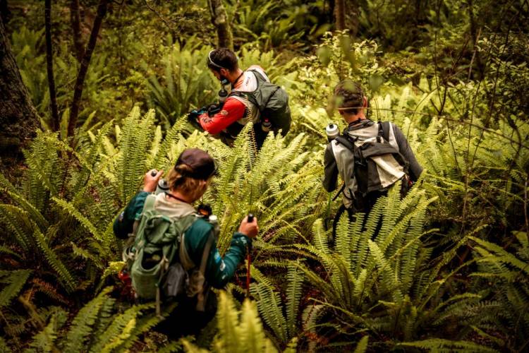 A MAGNIficent Return: New Zealand’s Premier Expedition Race Gears Up for a Global Showdown!