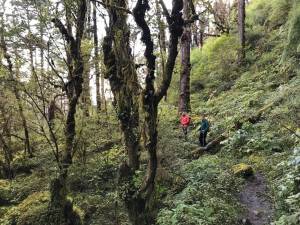 Tην Κυριακή 4 Ιουνίου 2023 οι αγώνες του Κένταυρου στο Πήλιο