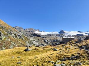 Ένα γράμμα προς τον TOR...