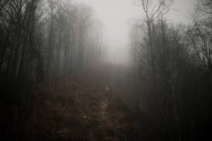 Τελικά τι "πουλάει" το Barkley;