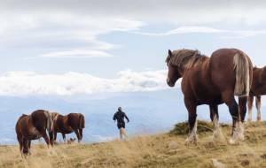 Dates and registrations for the Brama Stage Run 2024!