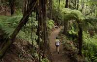 Στον Tarawera Ultra Marathon το διεθνές ενδιαφέρον