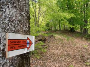 Στις 7 Απριλίου το Sougliani Trail - Προπόνηση στις διαδρομές του στις 18/2/2024 !