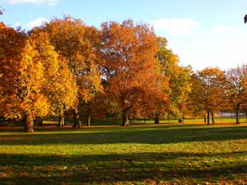 To πανέμορφο Hyde Park του Λονδίνου ντυμένο στα φθινοπωρινά του χρώματα...