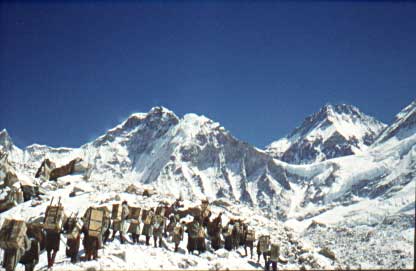 Τεράστιος όγκος υλικών μεταφέρεται από βαστάζους στην κατασκήνωση βάσης της αποστολής, την άνοιξη του 1953 