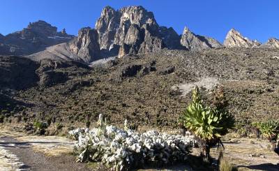 Πάνω από τα σύννεφα: Η απόλυτη εμπειρία ανάβασης στο Όρος Κένυα!