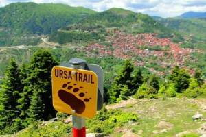 Ursa Trail 2022: Παράταση εγγραφών και πληρωμών μέχρι και την Πέμπτη 5 Μαΐου!