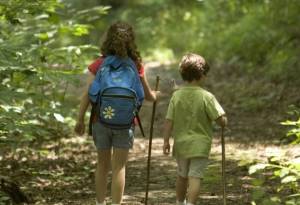 Forest Nature Schools : Τα σχολεία του δάσους και της φύσης!