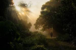 Νότια Αφρική &amp; Μαλαισία: Ένα βήμα πίσω και δυο μπροστά (δεύτερο μέρος)!