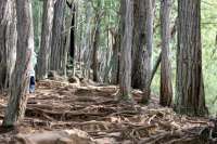 HURT 100, ποιός μπορεί να τρέξει; 