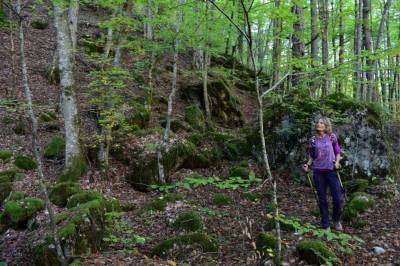 Οικοθεραπεία και πράσινη συνταγογράφηση!