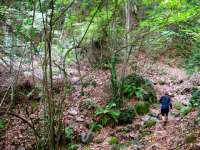 "ΞεΣκουριάΖω 2013": Όμορφος Αγώνας - Σοβαρός Σκοπός!