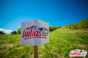 Ολοκληρώθηκε ο Lailias Mountain Running 2025
