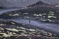 To Advendure στα μονοπάτια του ηφαιστείου της Αίτνας! Συνέντευξη με τον κ. Alfio Mazza!