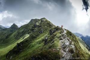 Incredible performances at the KAT100 Miles!