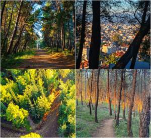 4ος Αγώνας City Trail Αγρινίου - Προκήρυξη Διοργάνωσης!