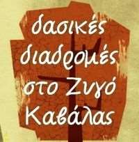 Zigos Race 2017: Τα αποτελέσματα των αγώνων