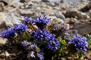 Δευτέρα 23 Σεπτεμβρίου και ώρα 20.00 ανοίγουν οι εγγραφές για τα 5α Ολύμπια μονοπάτια!