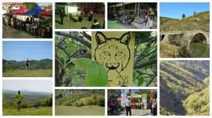 Orliakas Race Pt II, η συνέχεια ήταν ακόμη καλύτερη!