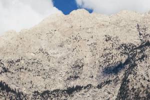 Πλάκα Συκιάς