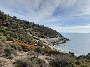 Κανονικά θα διεξαχθεί το 1ο Kritharia Trail στις 30 Ιανουαρίου 2022 - Επικαιροποιημένη Προκήρυξη της διοργάνωσης!